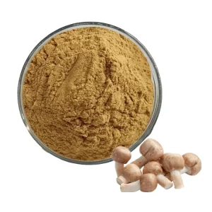 Agaricus Blazei Extract