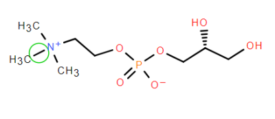 Alpha GPC Chemical structure