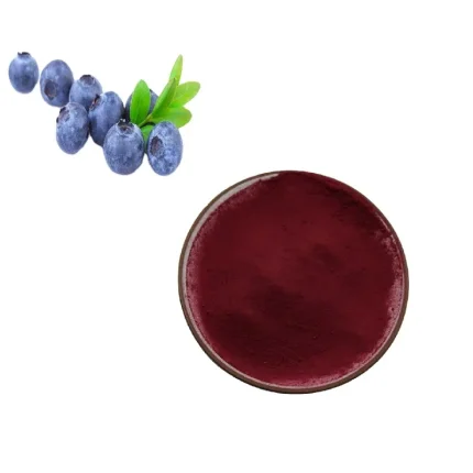 Bilberry Extract