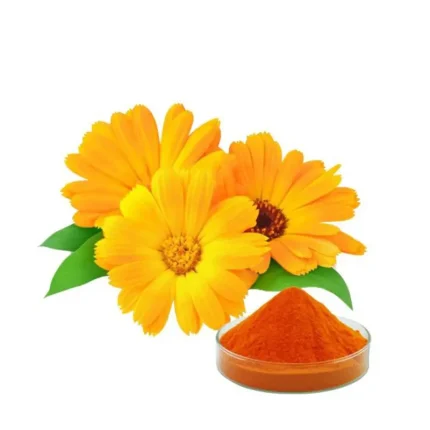 Calendula officinalis Extract