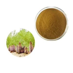 Cistanche Tubulosa Extract 