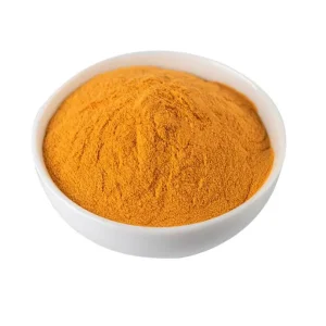 Coenzyme Q10