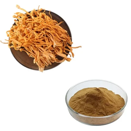 Cordyceps Extract