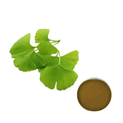 Ginkgo Biloba Extract Ginkgo Biloba Extract Dilating blood vessels,vascular endothelial protection organizations;