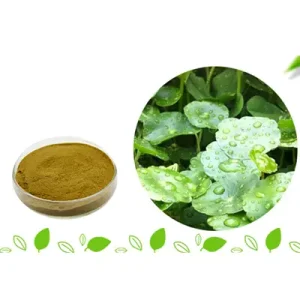 Gotu Kola Extract