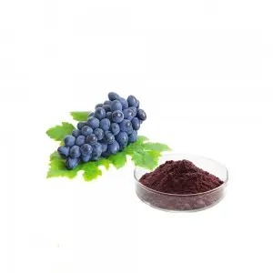 Grape Seed Extract Grape Seed Extract for Anti-Aging, OPC 95% Test by UV