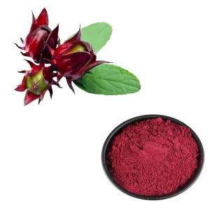 Hibiscus sabdariffa Extract