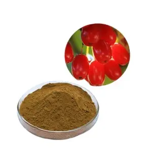 Jamaican Dogwood Extract Dogwood Extract Loganin 10% Test by HPLC