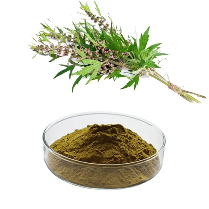 Motherwort Extract Leonurine 0.2%,Stachydrine Hydrochloride 5% Test by HPLC