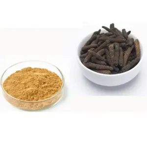 Piper longum Extract 