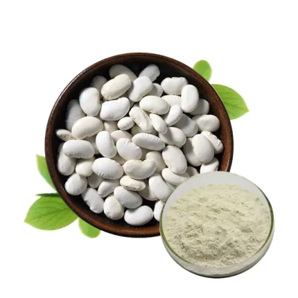 White Kidney Bean Extract White Kidney Bean Extract contain protein is a natural amylase inhibitor, which is better than wheat and other crops extracted.