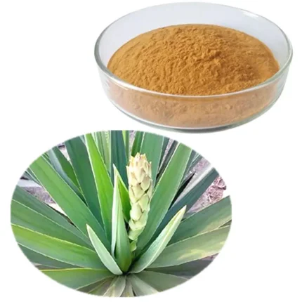 Yucca Extract Deodorization function, inhibiting the parasite and other harmful bacteria