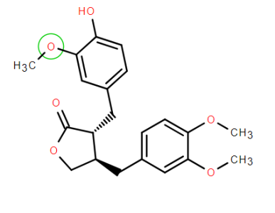 Arctigenin