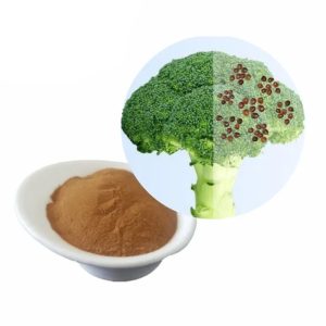 Broccoli Seed Extract