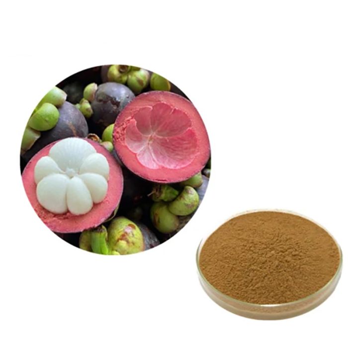 Mangosteen P.E.