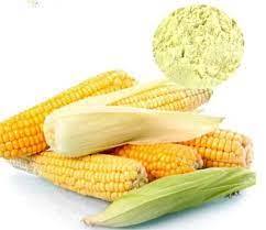 Corn Peptide