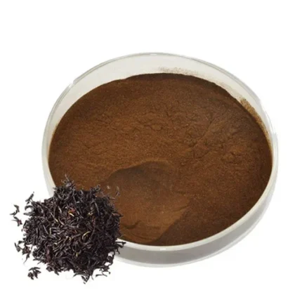 Black Tea Extract