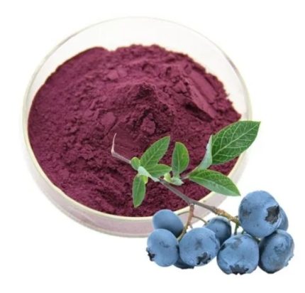 Blueberry Extract