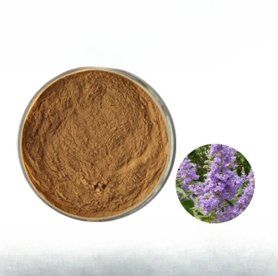 Chasteberry extract