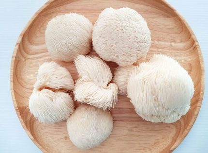 Hericium Erinaceus Extract