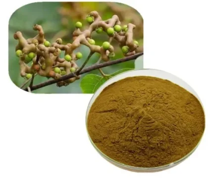 Japanese Raisin Tree Seed Extract