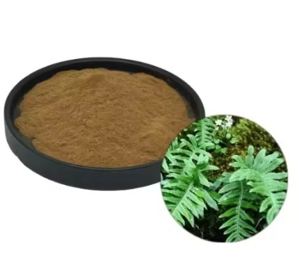 Polypodium Leucotomos Extract