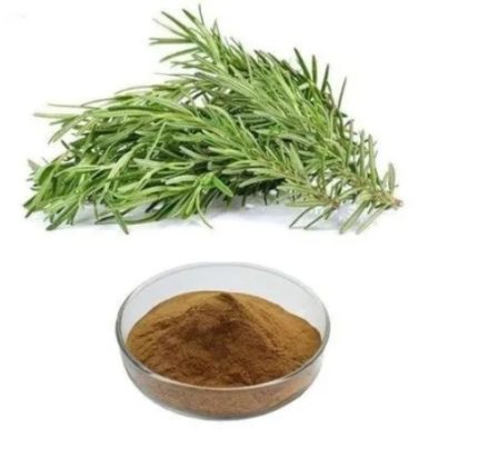 Rosemary Extract