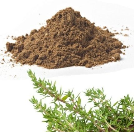 Thyme Extract