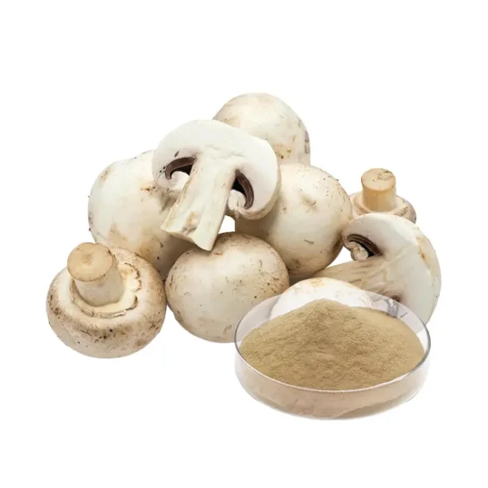 White Button Mushroom Extract